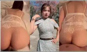 နန်းဆန်တဲ့ မြန်မာမလေး ပြဲလန်အောင်အလိုးခံရ
